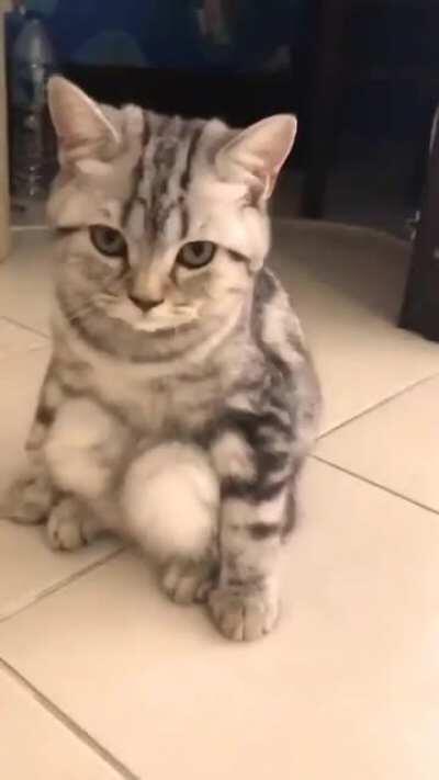 She's a little different