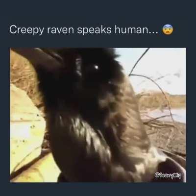 hey.....come on......