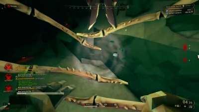 Como pessoas com aracnofobia se sente  vendo um ninho de aranhas