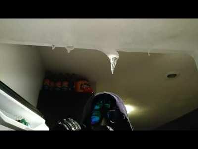 Everything cold is Stasis