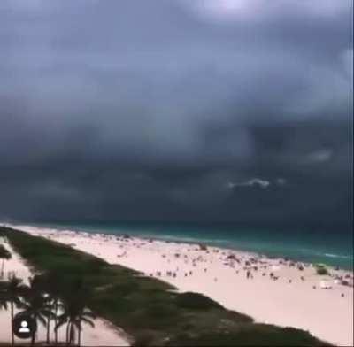 Как муравьёв