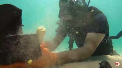 Not meme template Monday but I have a template 🥺🥺