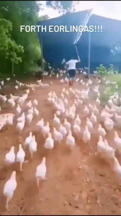 The charge of the rohirrim