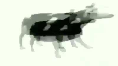 this is me when britain is gone