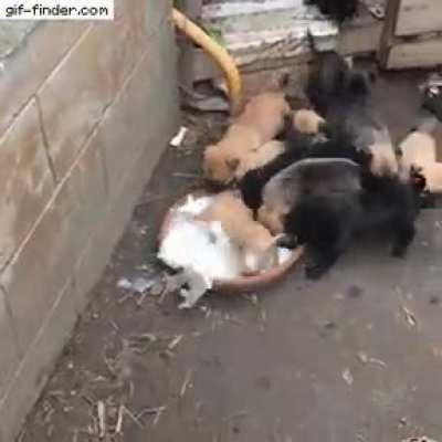 Step aside lads, this is mine