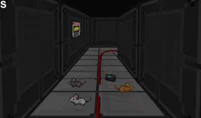 POV you're a rat in maint