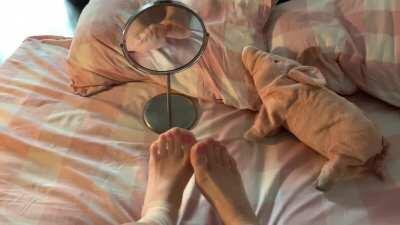 Someone told me to show the top of my toes, but I'm a little shy🐾