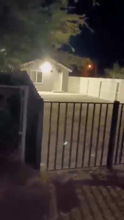 PSA: do not look up plants vs zombies gay hentai