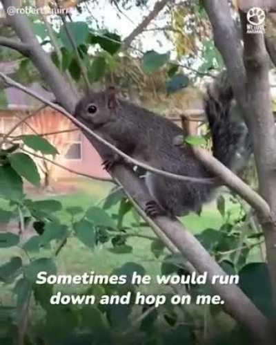 Man spots tiny little creature on the ground and decides to try and save its life.