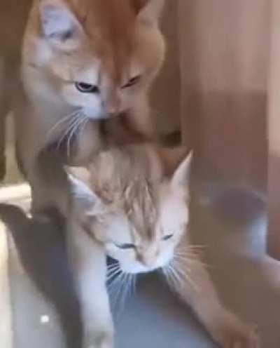 When a child does not grow up