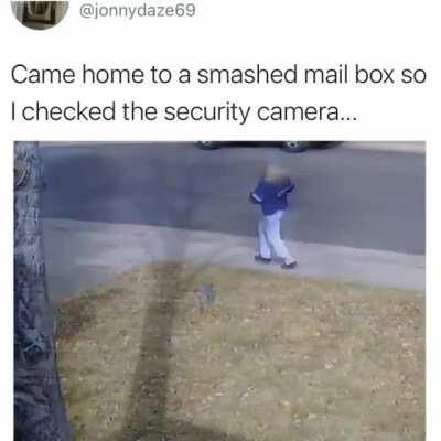 To deliver mail