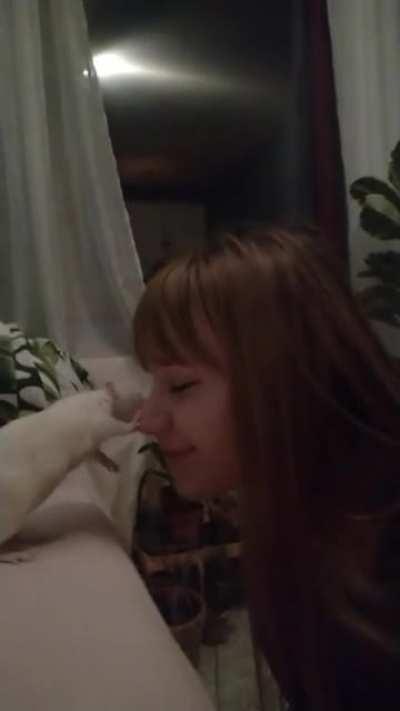 Hold still human! Must give love