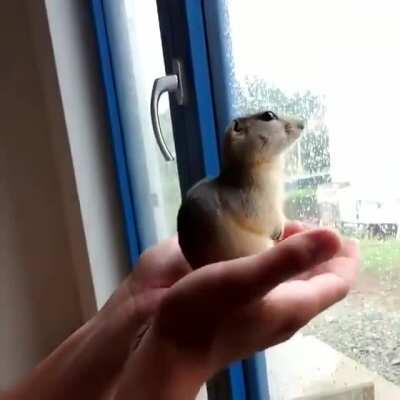 Idky I find this so satisfying