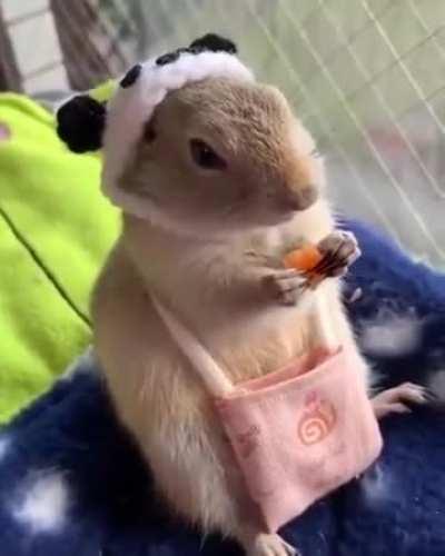 Мышь в шапочке.