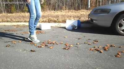 Maryse crawdad sneakers