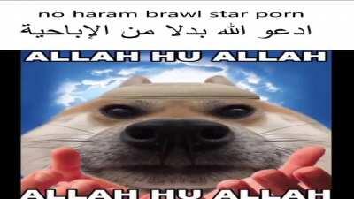 pray to allah سيغضب الله إذا صليت للحرام