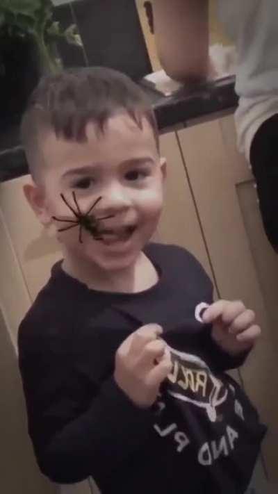 Kiddo actually thinks the spider is real.