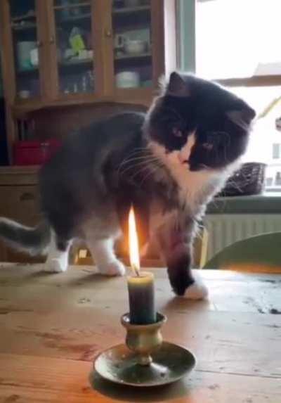 The fastest hand in the wild West