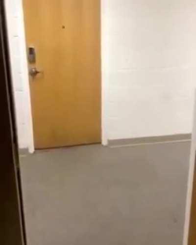 Best thing I’ve seen all day