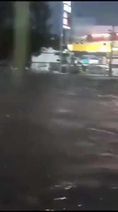 Guadalajara, Mexico 🇲🇽 