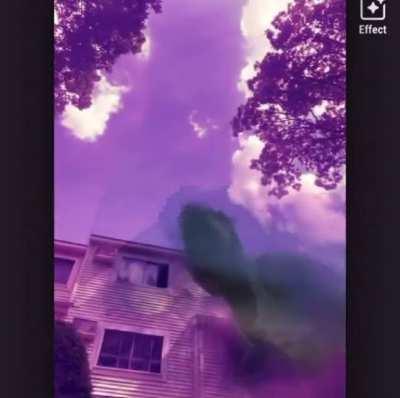 Nah these bronx niggas really got it🤣🤣🤣🤣