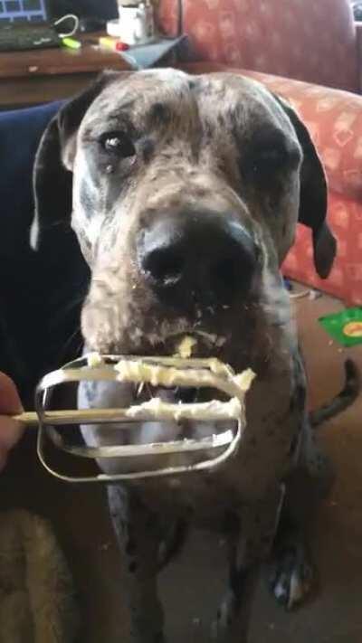 This is Wilfred. He is 18 months old and loves helping us cook.