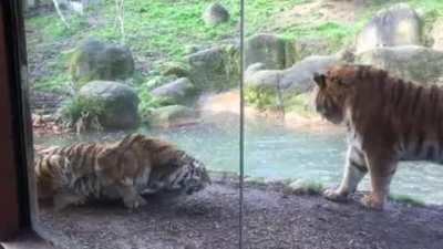 Wife lashes out at husband for waking her