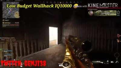 Low Budget Wallhack IQ10000 edited