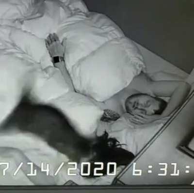 Как правильно будить людей утром.