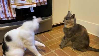 Phoebe is always a little slaptastic at breakfast.