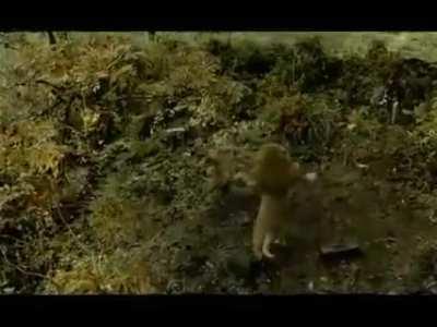 Old Indian ad of creamfilled candy