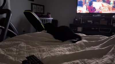 3:48 AM Greebles Spotting