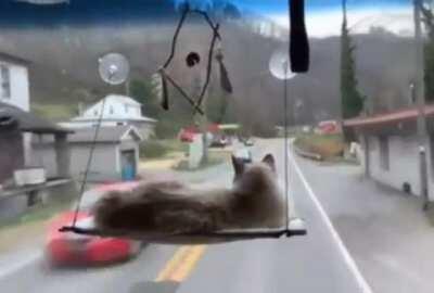 Вези меня, раб