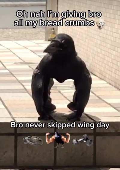 Have bird steroids gone too far?