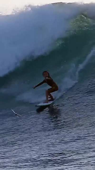 He was surfing and a flying fish decided to join him through the waves