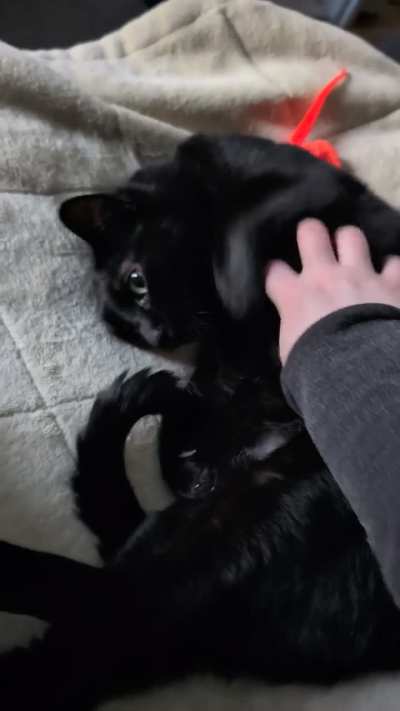 The absolute best way to start the day 🖤