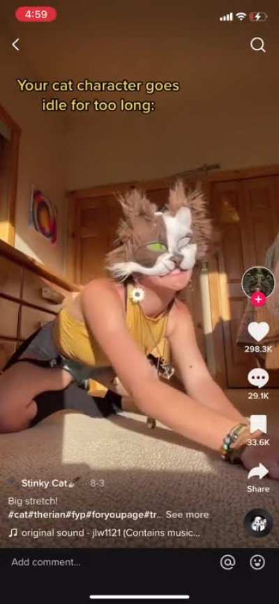 Their whole account is then running around on all fours and calling them self a cat