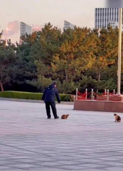 He touch the fierce beast