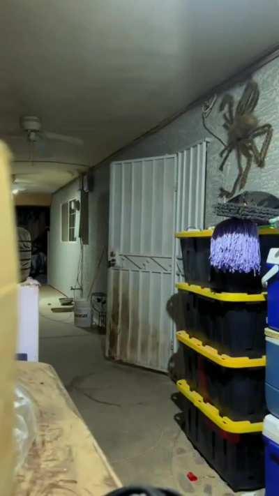 OMG! Poor mother 😭
