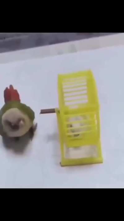 Where should i post this masterpiece