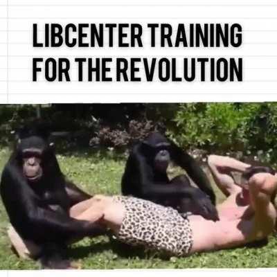 Obey the Law of the Jungle