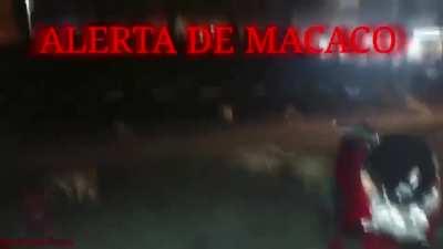 Quando o Muca fica On