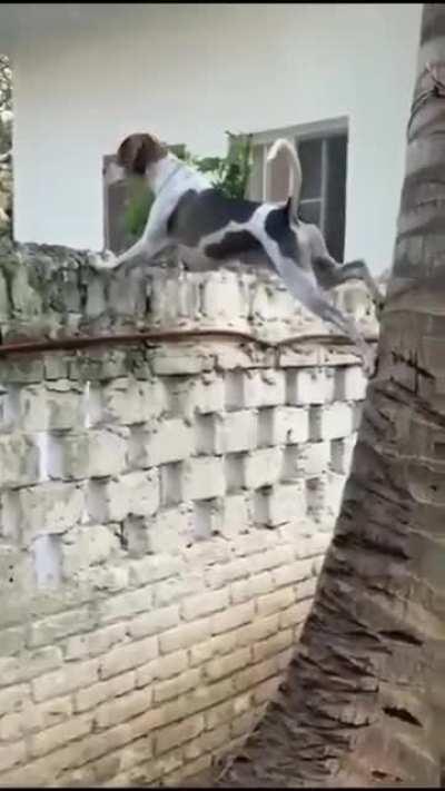 Подглядывать нехорошо