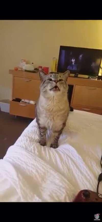 Будь здоров!