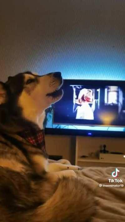 What a talented lil’ fellow! 🥹