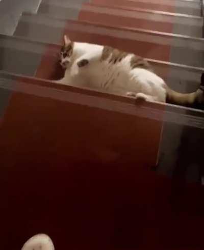 Liquids have the ability to flow from the higher place 