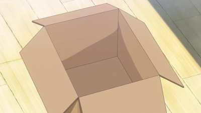 Vanilla just wants to sit down in a box.