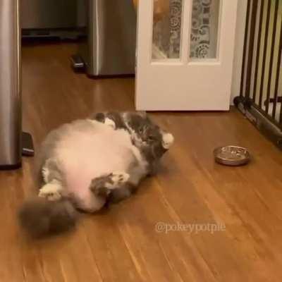 The last thing i can do in the day