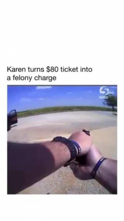 Probably repost, but so satisfying watching Karen meltdown.