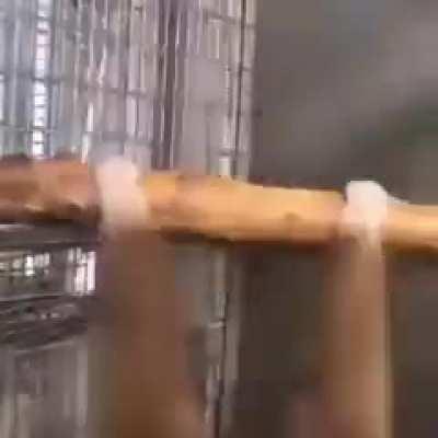 Ayuda me banearon de r/maau por un meme de jfk